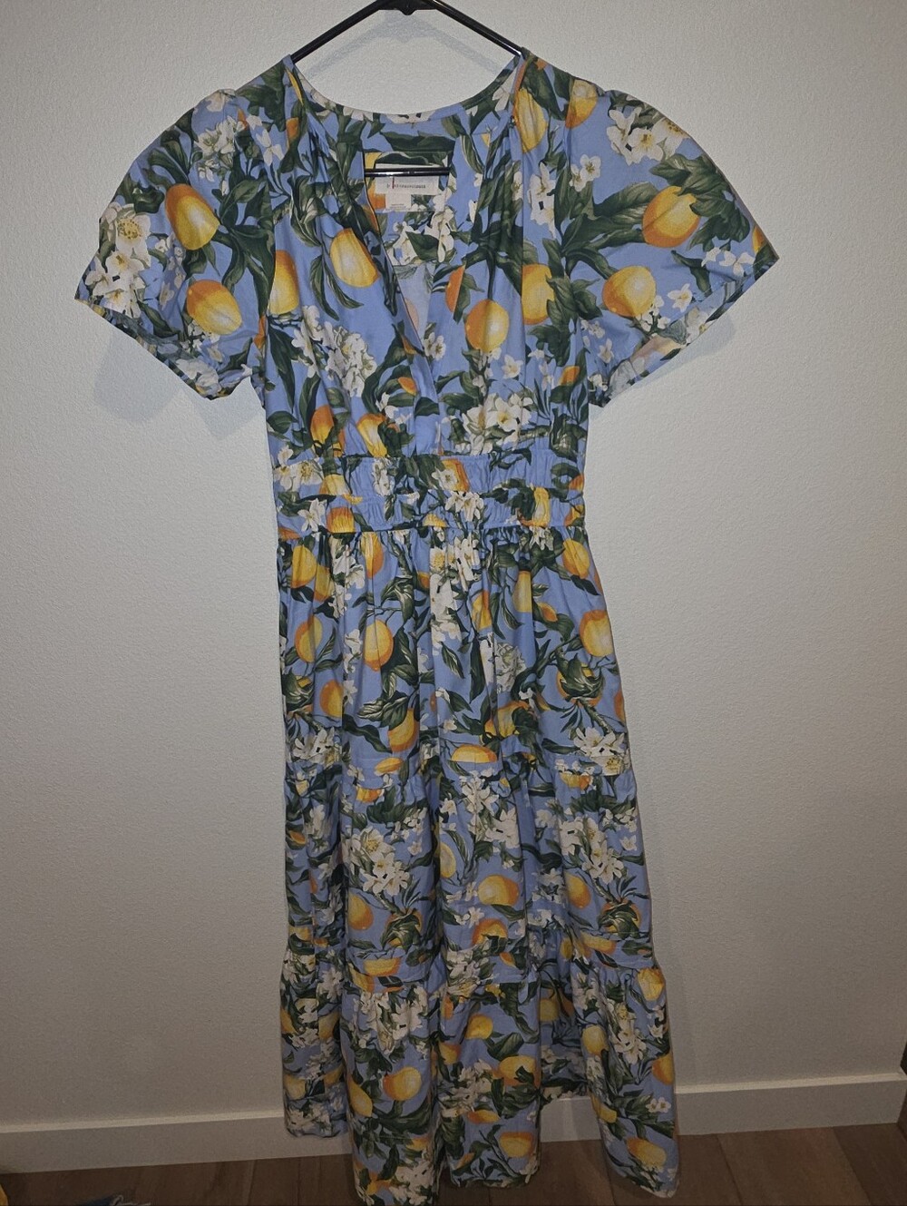 Anthropologie Blue Lemon Floral Maxi Dress